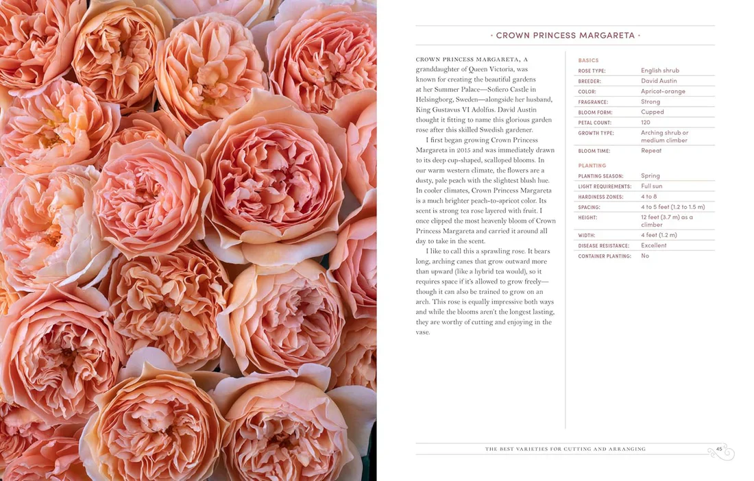 Garden Roses - Grace Rose Farm - Image 2