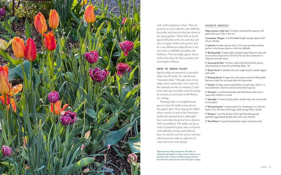 Life With Flowers Book - Image 3
