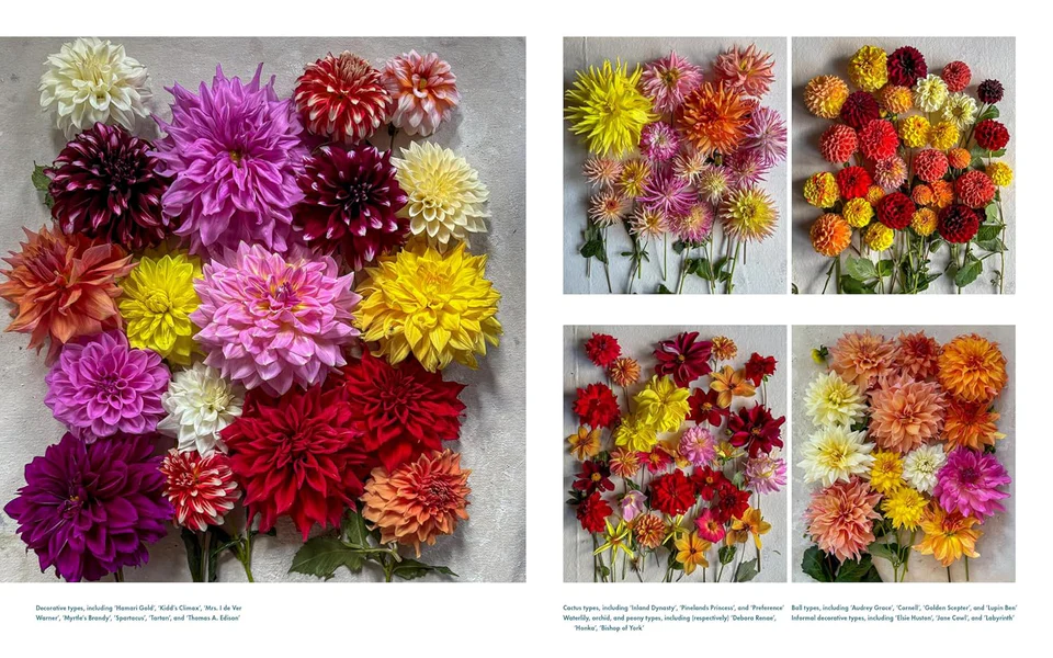 Life With Flowers Book - Image 5