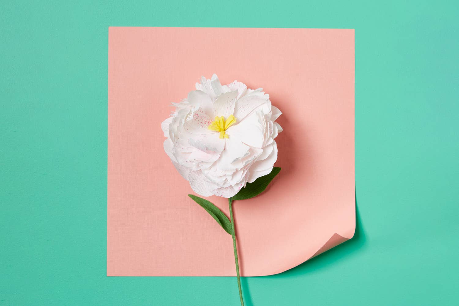 Paper Flower Making Kit - Image 3