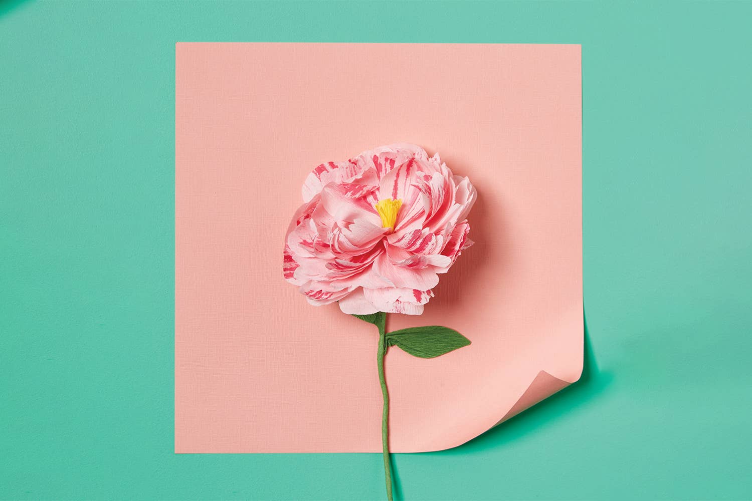 Paper Flower Making Kit - Image 4