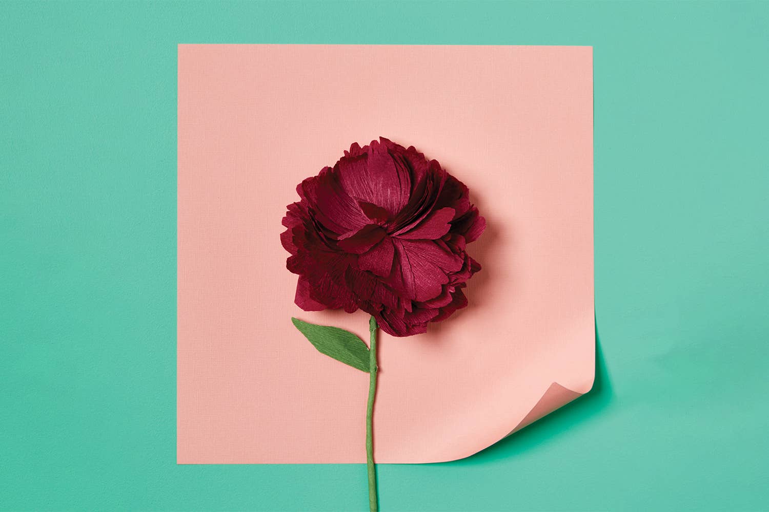 Paper Flower Making Kit - Image 5